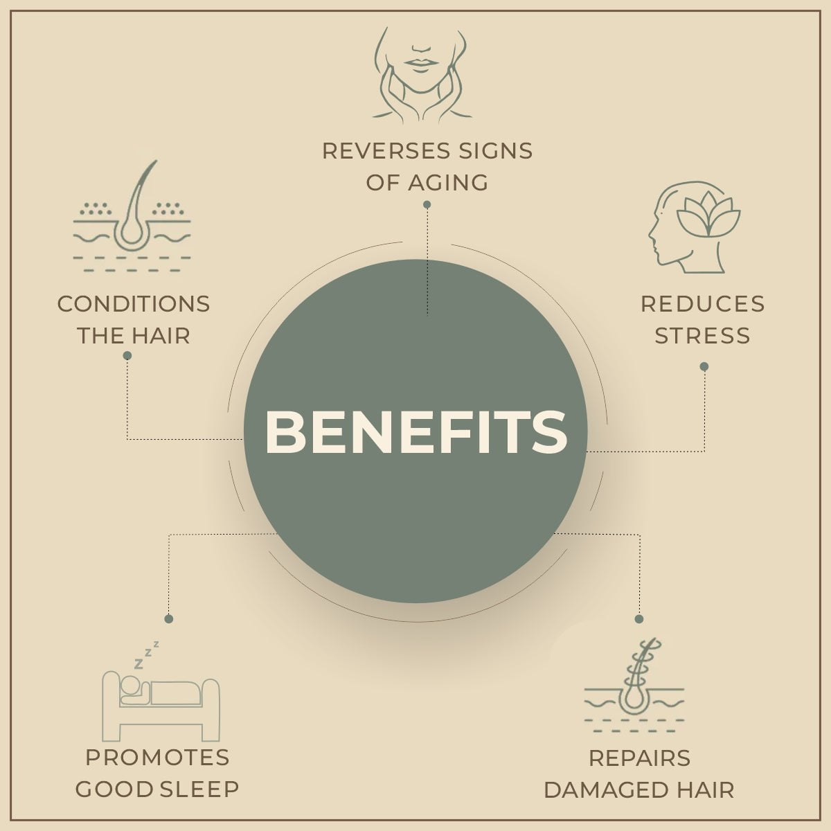 Salvia Natural Carrier Oils Passion Flower Oil Salvia Natural Carrier Oils Passion Flower Oil